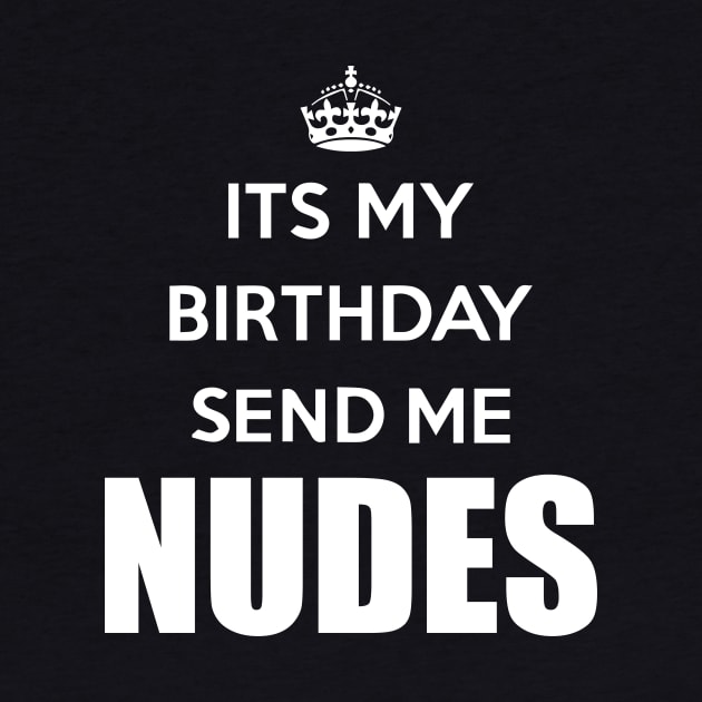 Its my birthday send me nudes by melcu